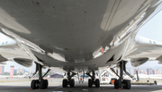 KLM Cargo (Martinair) Boeing 747-406(ERF/SCD) (PH-CKC) at  Guatemala City - La Aurora, Guatemala