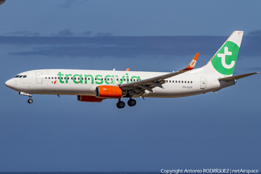 Transavia Boeing 737-8EH (PH-GGX) | Photo 188565