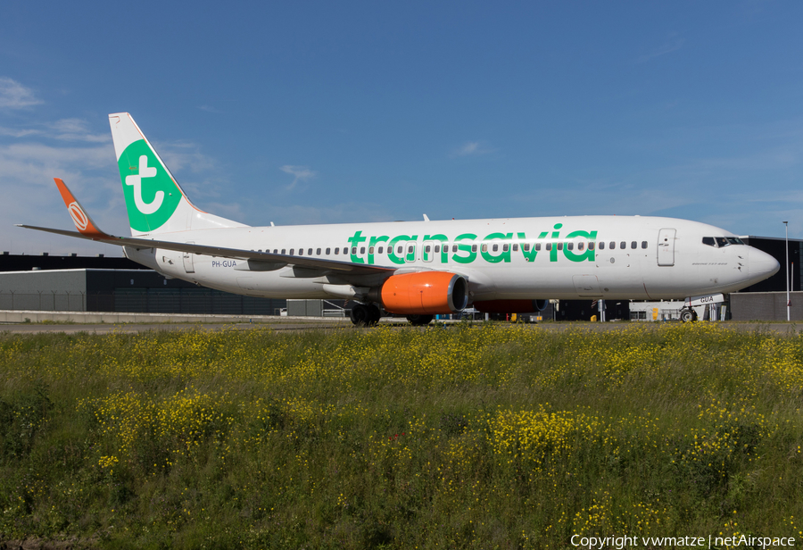 Transavia Boeing 737-8EH (PH-GUA) | Photo 427181