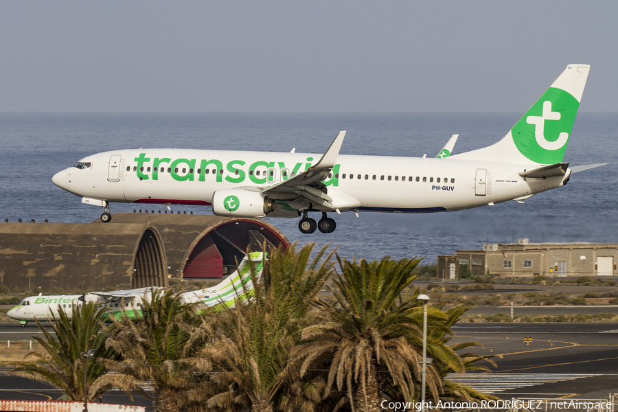 Transavia Boeing 737-8EH (PH-GUV) | Photo 156294