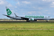 Transavia Boeing 737-82Y (PH-HBM) at  Amsterdam - Schiphol, Netherlands