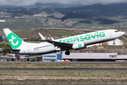 Transavia Boeing 737-8K2 (PH-HSA) at  Tenerife Sur - Reina Sofia, Spain