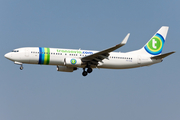 Transavia Boeing 737-8K2 (PH-HSB) at  Amsterdam - Schiphol, Netherlands