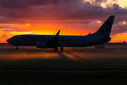 Transavia Boeing 737-8K2 (PH-HSB) at  Amsterdam - Schiphol, Netherlands