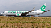 Transavia Boeing 737-8K2 (PH-HSC) at  Amsterdam - Schiphol, Netherlands