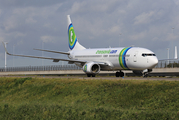 Transavia Boeing 737-8K2 (PH-HSD) at  Amsterdam - Schiphol, Netherlands