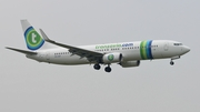 Transavia Boeing 737-8K2 (PH-HSF) at  Amsterdam - Schiphol, Netherlands