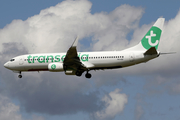 Transavia Boeing 737-8K2 (PH-HSF) at  Amsterdam - Schiphol, Netherlands