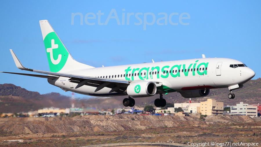 Transavia Boeing 737-8K2 (PH-HSF) | Photo 292313