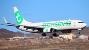 Transavia Boeing 737-8K2 (PH-HSF) at  Tenerife Sur - Reina Sofia, Spain