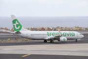 Transavia Boeing 737-8K2 (PH-HSF) at  Tenerife Sur - Reina Sofia, Spain