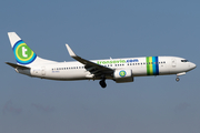 Transavia Boeing 737-8K2 (PH-HSG) at  Amsterdam - Schiphol, Netherlands