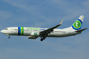 Transavia Boeing 737-8K2 (PH-HSG) at  Amsterdam - Schiphol, Netherlands