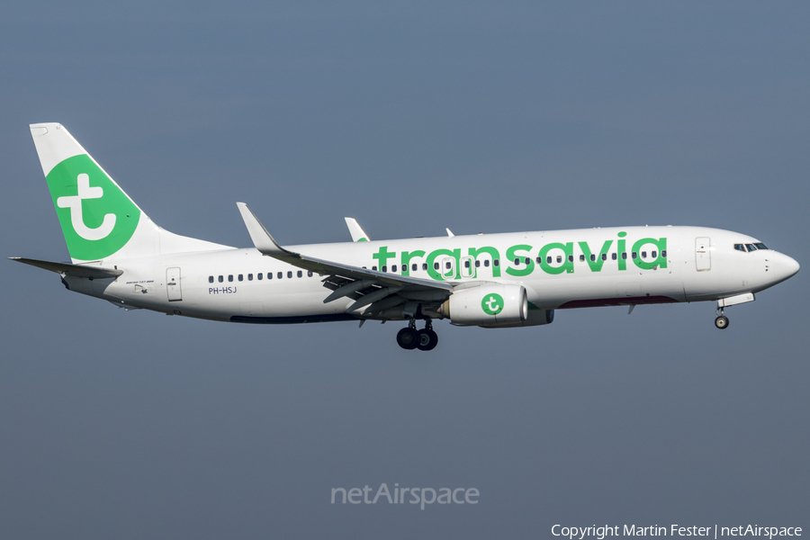 Transavia Boeing 737-8K2 (PH-HSJ) | Photo 488477