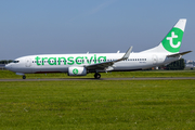 Transavia Boeing 737-8K2 (PH-HSJ) at  Amsterdam - Schiphol, Netherlands