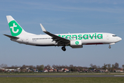 Transavia Boeing 737-8K2 (PH-HSJ) at  Amsterdam - Schiphol, Netherlands