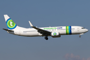 Transavia Boeing 737-8K2 (PH-HSJ) at  Amsterdam - Schiphol, Netherlands