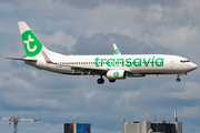 Transavia Boeing 737-8K2 (PH-HSJ) at  Amsterdam - Schiphol, Netherlands