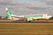 Transavia Boeing 737-8K2 (PH-HSK) at  Amsterdam - Schiphol, Netherlands