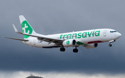 Transavia Boeing 737-8K2 (PH-HSK) at  Gran Canaria, Spain