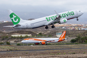 Transavia Boeing 737-8K2 (PH-HSK) at  Tenerife Sur - Reina Sofia, Spain