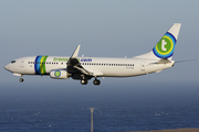 Transavia Boeing 737-8K2 (PH-HSW) at  Tenerife Sur - Reina Sofia, Spain