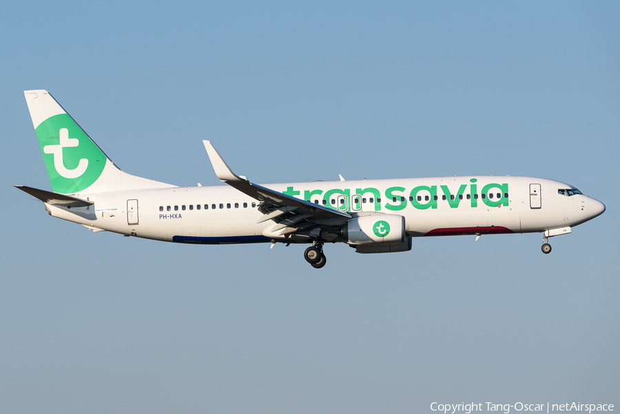 Transavia Boeing 737-8K2 (PH-HXA) | Photo 471029