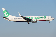 Transavia Boeing 737-8K2 (PH-HXA) at  Amsterdam - Schiphol, Netherlands