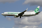 Transavia Boeing 737-8K2 (PH-HXA) at  Amsterdam - Schiphol, Netherlands