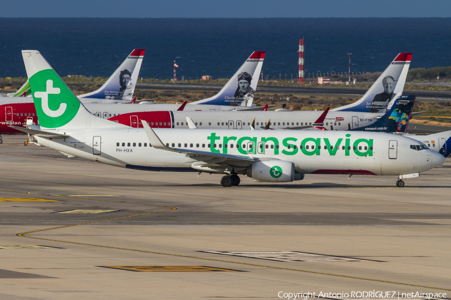 Transavia Boeing 737-8K2 (PH-HXA) | Photo 317438