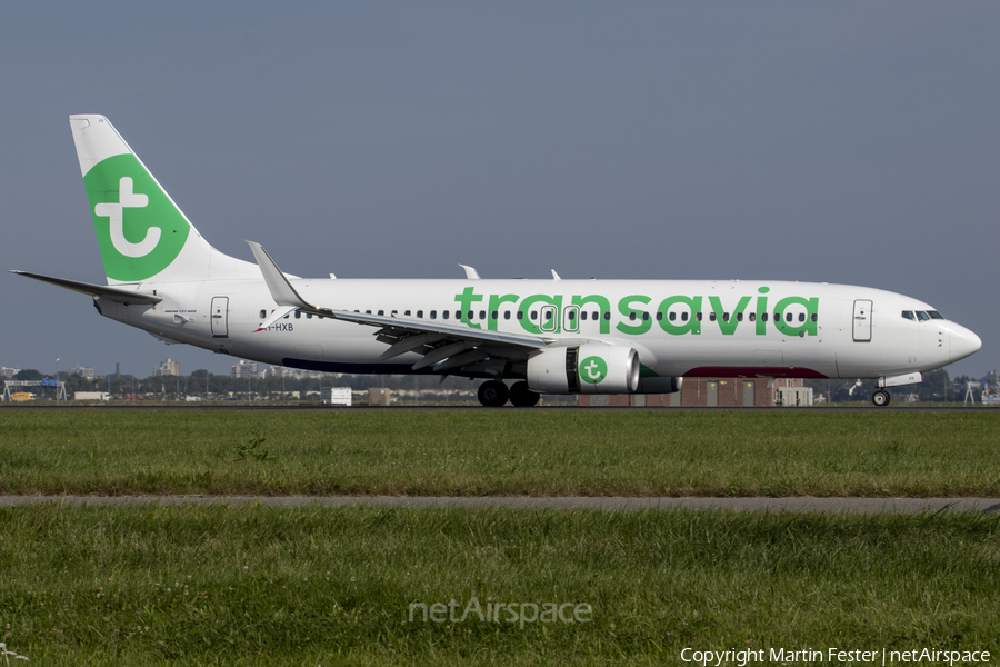 Transavia Boeing 737-8K2 (PH-HXB) | Photo 487800
