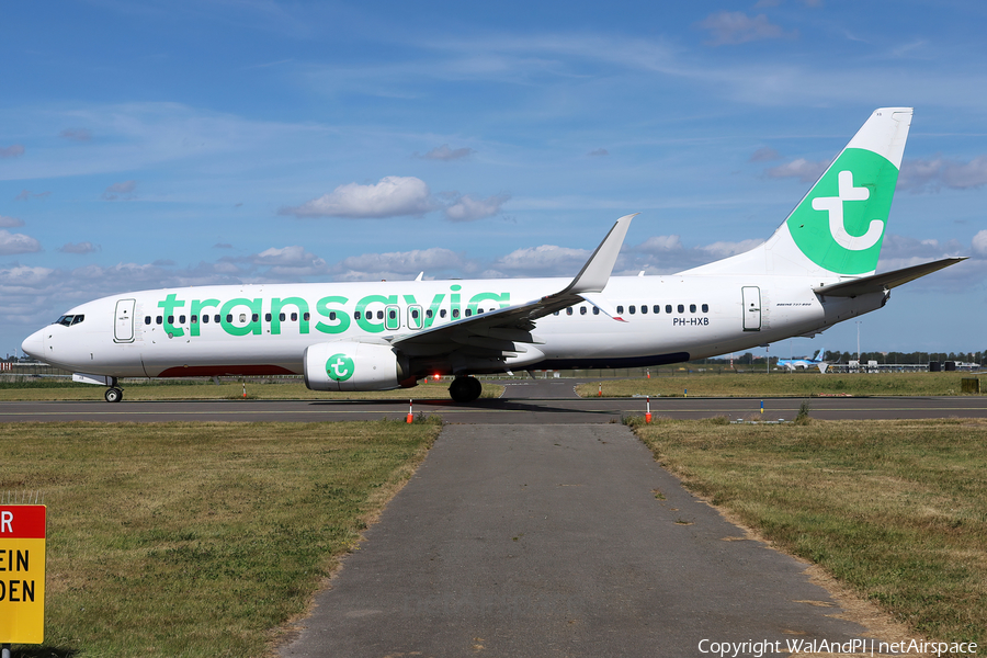 Transavia Boeing 737-8K2 (PH-HXB) | Photo 531490