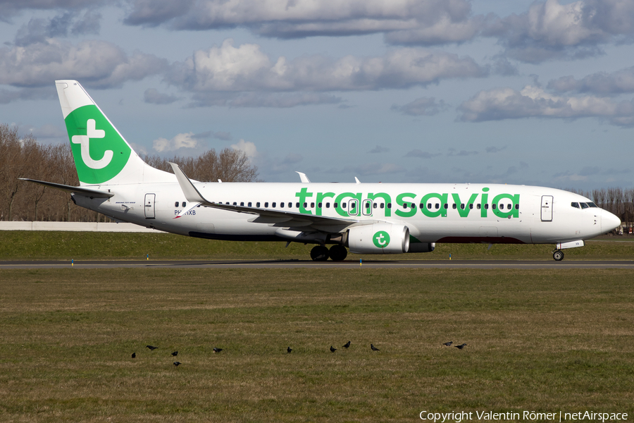 Transavia Boeing 737-8K2 (PH-HXB) | Photo 559484