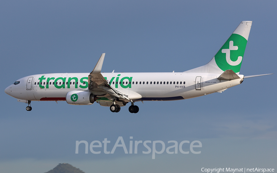 Transavia Boeing 737-8K2 (PH-HXB) | Photo 316954