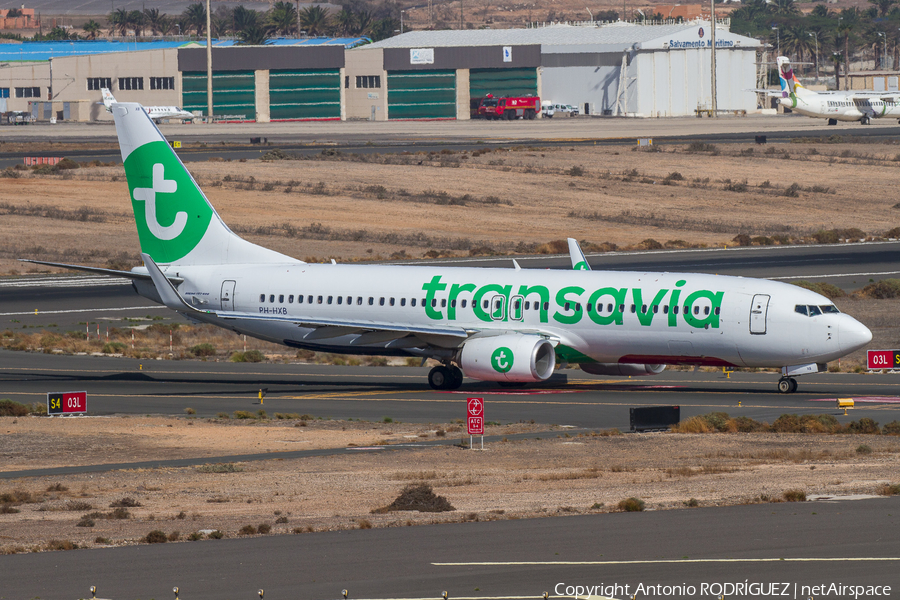 Transavia Boeing 737-8K2 (PH-HXB) | Photo 356531