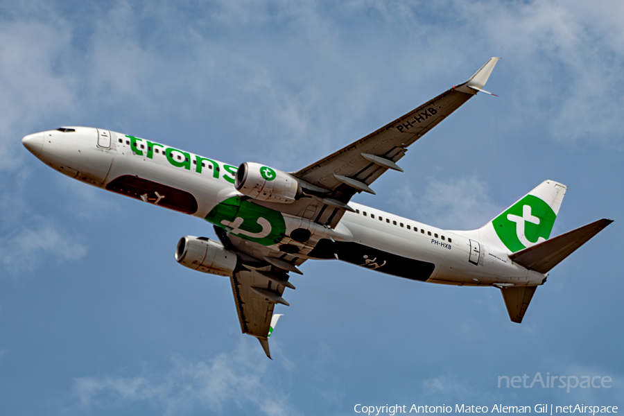 Transavia Boeing 737-8K2 (PH-HXB) | Photo 646403