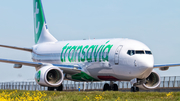 Transavia Boeing 737-8K2 (PH-HXC) at  Amsterdam - Schiphol, Netherlands