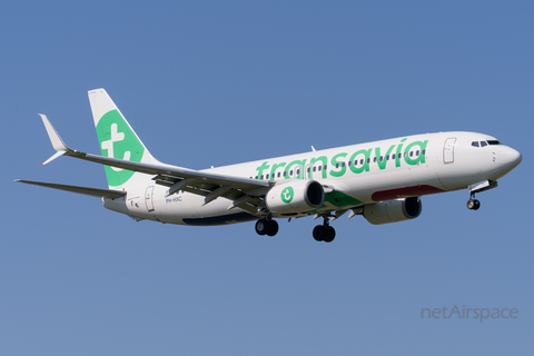 Transavia Boeing 737-8K2 (PH-HXC) at  Amsterdam - Schiphol, Netherlands