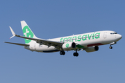 Transavia Boeing 737-8K2 (PH-HXC) at  Amsterdam - Schiphol, Netherlands