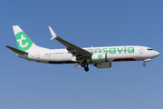 Transavia Boeing 737-8K2 (PH-HXC) at  Amsterdam - Schiphol, Netherlands