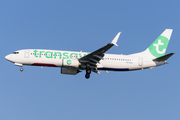 Transavia Boeing 737-8K2 (PH-HXC) at  Amsterdam - Schiphol, Netherlands