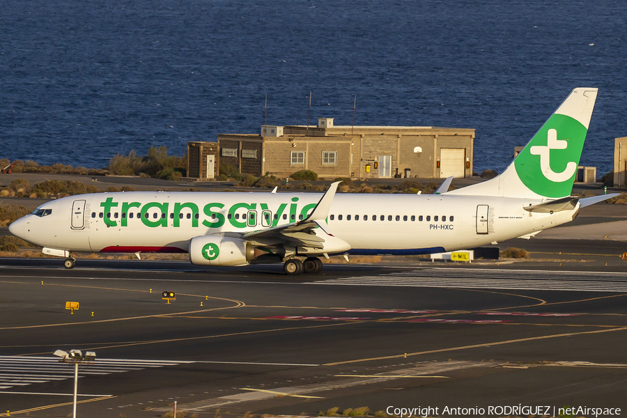 Transavia Boeing 737-8K2 (PH-HXC) | Photo 375632