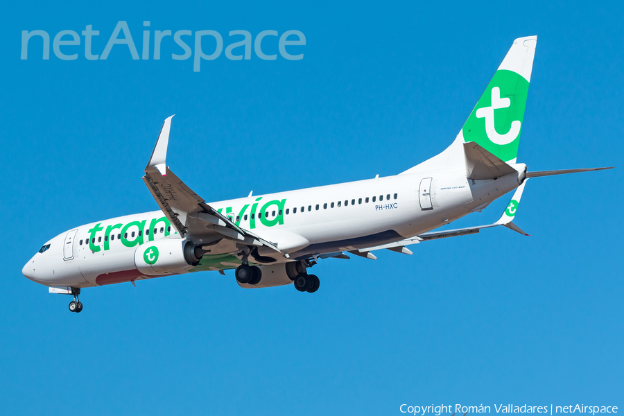 Transavia Boeing 737-8K2 (PH-HXC) | Photo 464829