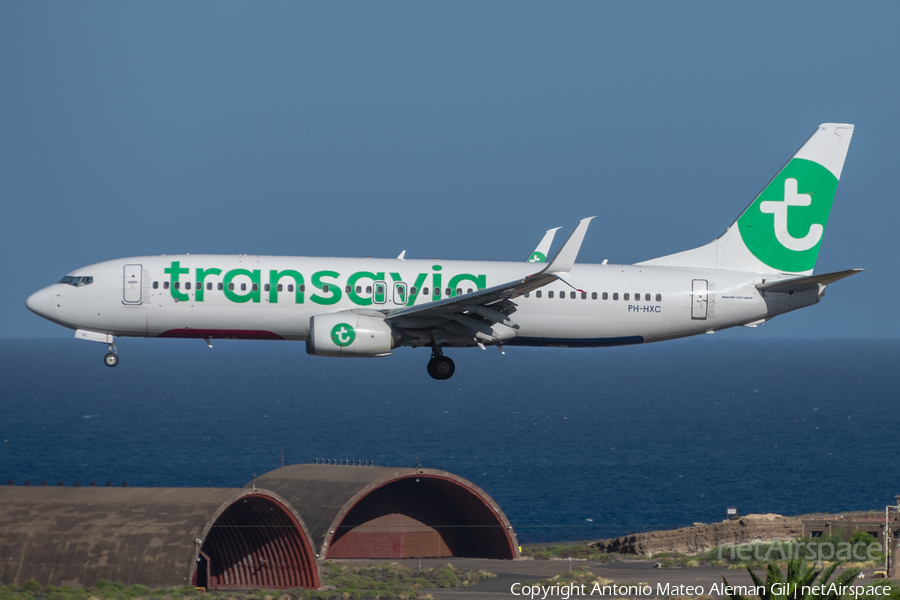 Transavia Boeing 737-8K2 (PH-HXC) | Photo 623245