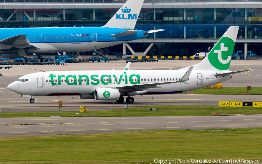 Transavia Boeing 737-8K2 (PH-HXD) | Photo 350184