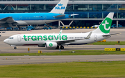 Transavia Boeing 737-8K2 (PH-HXD) at  Amsterdam - Schiphol, Netherlands