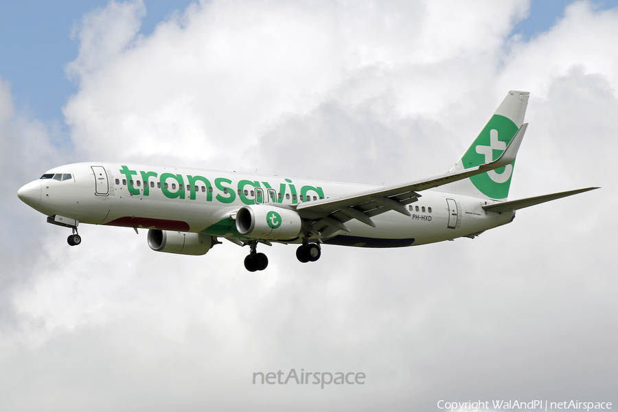 Transavia Boeing 737-8K2 (PH-HXD) | Photo 520606