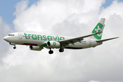 Transavia Boeing 737-8K2 (PH-HXD) at  Amsterdam - Schiphol, Netherlands