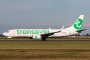 Transavia Boeing 737-8K2 (PH-HXD) at  Amsterdam - Schiphol, Netherlands
