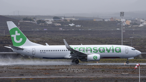 Transavia Boeing 737-8K2 (PH-HXD) at  Tenerife Sur - Reina Sofia, Spain